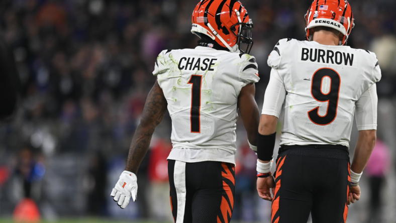 NFL: Cincinnati Bengals at Baltimore Ravens